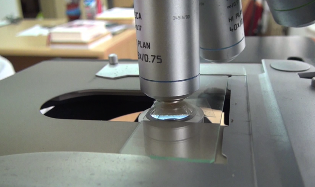 Fotoğraf: TRT Haber